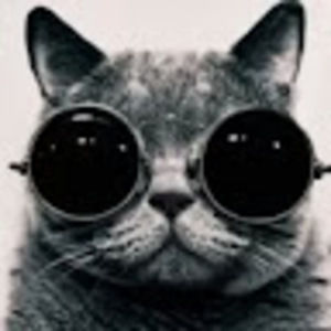 Meet your Posher, Kristin